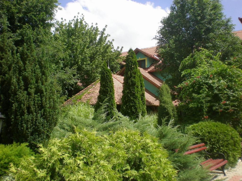 Vinski Dvor Palić المظهر الخارجي الصورة